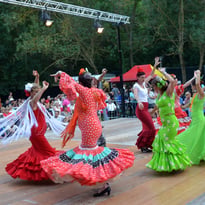 Les Nuits Flamencas