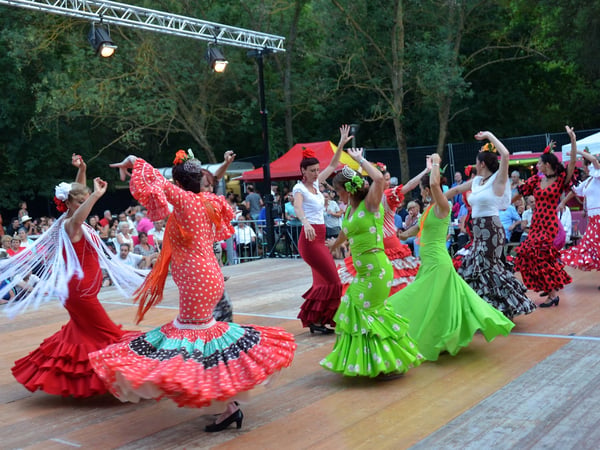 Les Nuits Flamencas