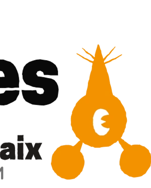 Rencontres du 9e Art : festival de bande dessinée et arts associés