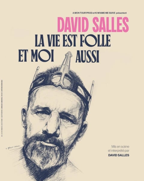 David Salles, La vie est folle et moi aussi