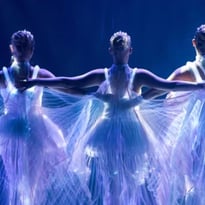 Ballet of Lights : La Belle au bois dormant
