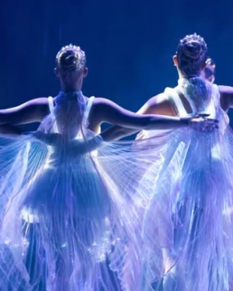 Ballet of Lights : La Belle au bois dormant