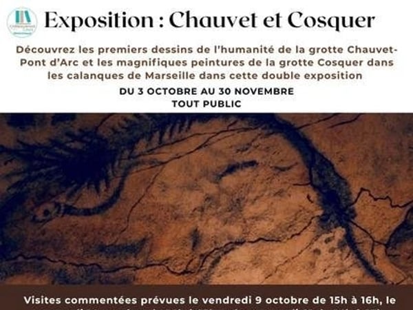 Exposition "Les grottes Chauvet et Cosquer"