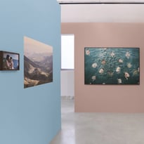 Prix Dior de la photographie et des arts visuels pour jeunes talents 2026
