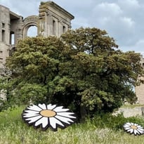 Floraison Majeure