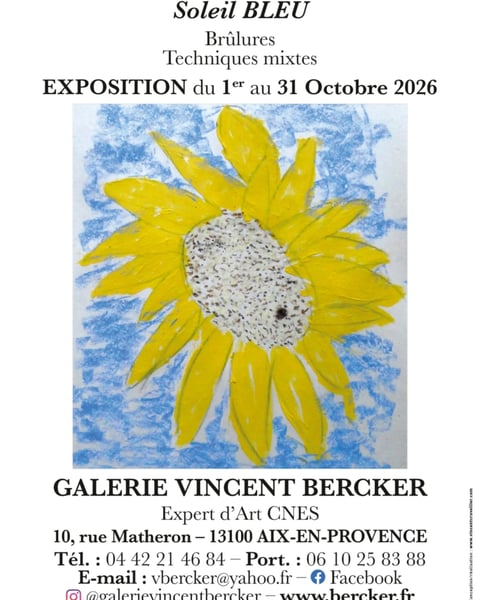Exposition - Ambi - Soleil bleu