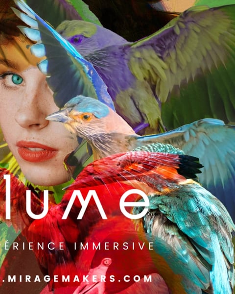 PLUME - l'expérience immersive