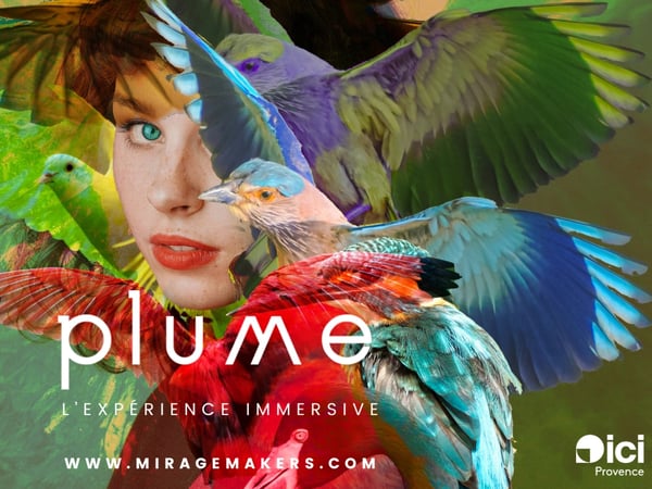 PLUME - l'expérience immersive