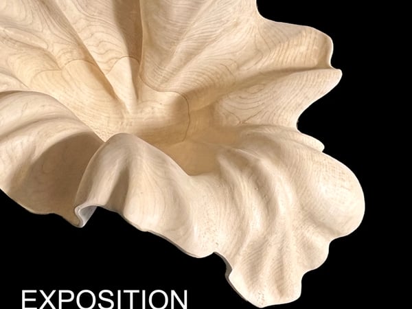 Exposition - Agnès K. sculpture sur bois