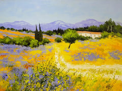 Salon-de-Provence