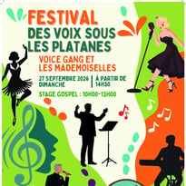 Des Voix sous les Platanes