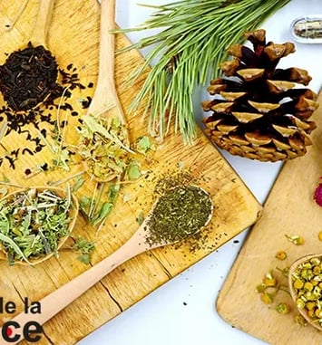Exposition “Plantes aux mille vertus” - Fête de la Science