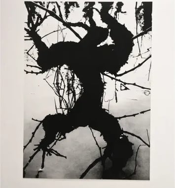Exposition La Camargue, un autre monde