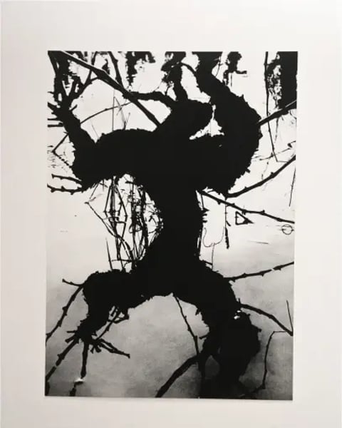 Exposition La Camargue, un autre monde