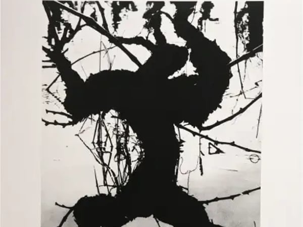 Exposition La Camargue, un autre monde