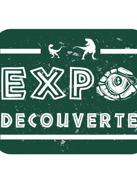 Expo découverte, l’histoire des dinosaures