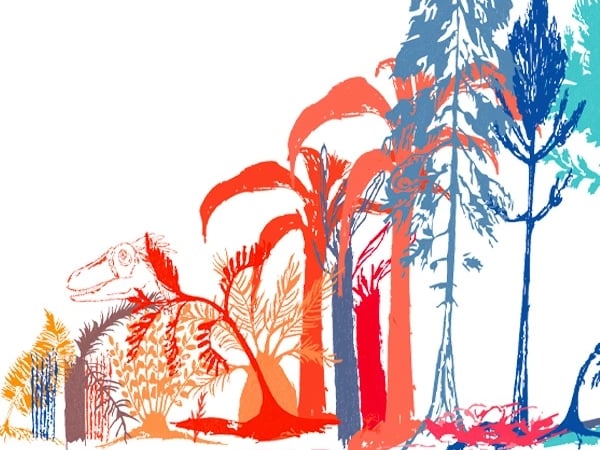 Défi Dino Dessins
