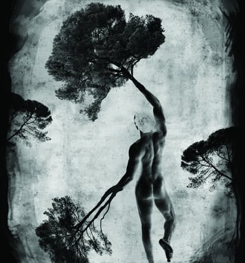 Exposition Daniel Nassoy : La nature et l'homme