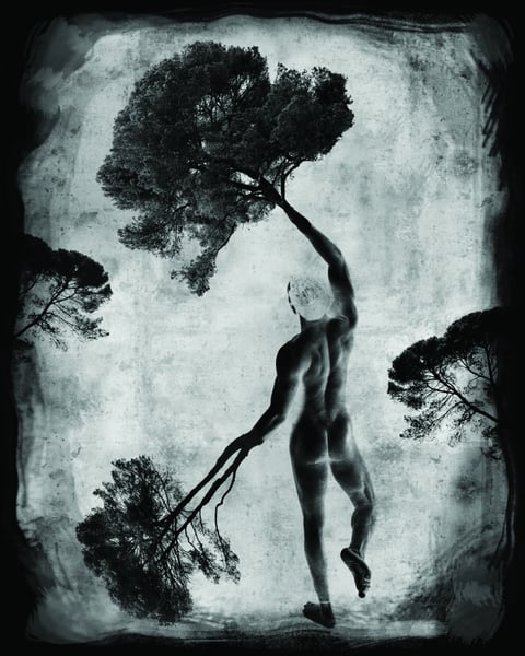 Exposition Daniel Nassoy : La nature et l'homme