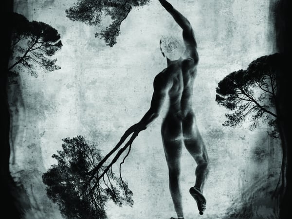 Exposition Daniel Nassoy : La nature et l'homme