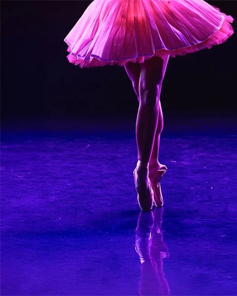 La Belle au bois dormant dans un spectacle étincelant