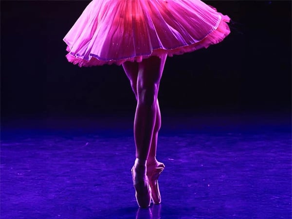 La Belle au bois dormant dans un spectacle étincelant