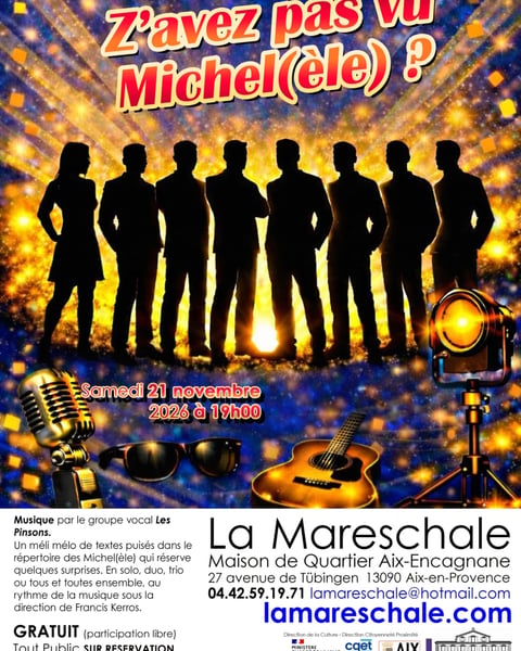 Spectacle - Z'avez pas vu Michel(èle)
