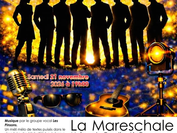 Spectacle - Z'avez pas vu Michel(èle)