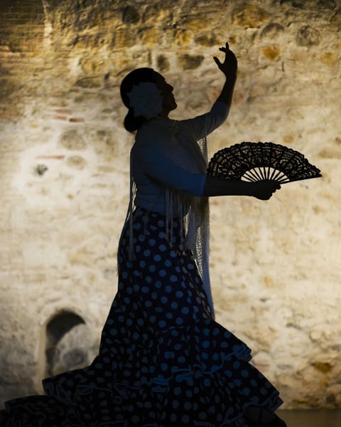 Spectacle de Flamenco