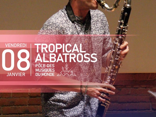 Tropical Albatross