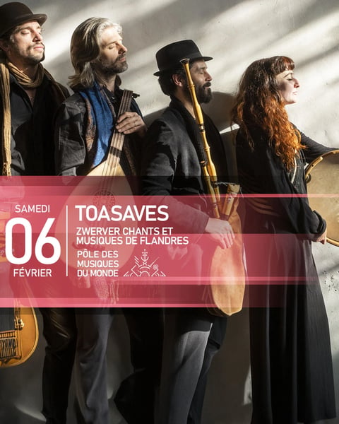 Toasaves