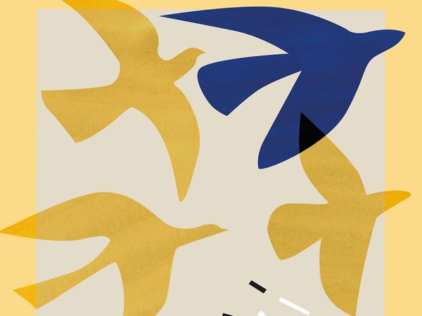 Paroles d’oiseaux