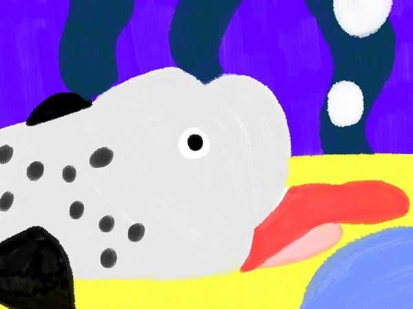 Fario, dans le ventre de la baleine