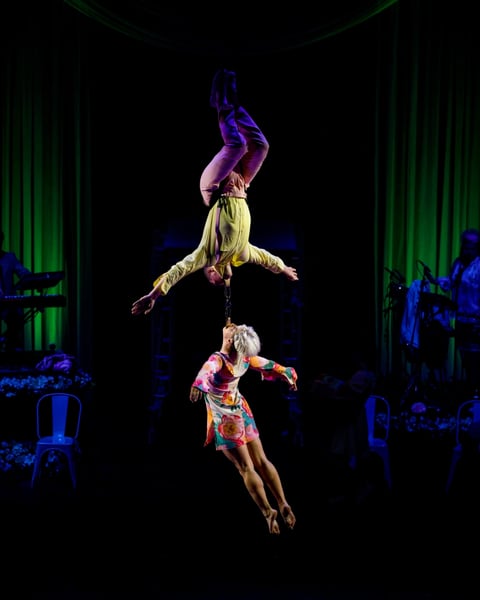 Spectacle - La Noce d'Alfonse - Cirque Alfonse