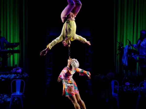 Spectacle - La Noce d'Alfonse - Cirque Alfonse